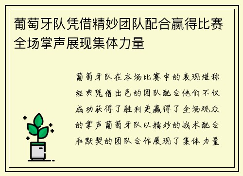 葡萄牙队凭借精妙团队配合赢得比赛全场掌声展现集体力量
