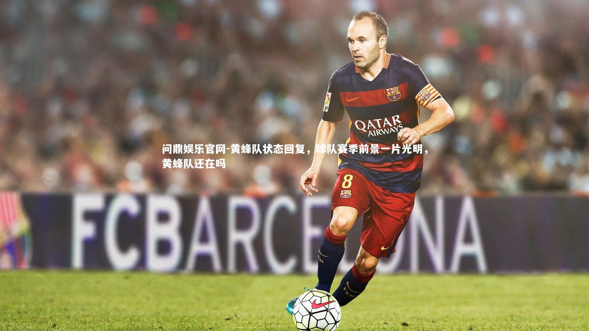 黄蜂队状态回复,球队赛季前景一片光明,黄蜂队还在吗